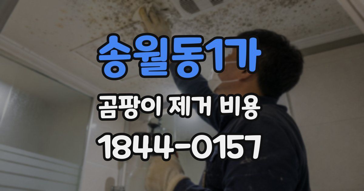 송월동1가 곰팡이 제거 비용