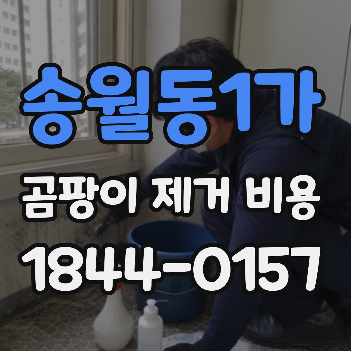 송월동1가 곰팡이 제거 비용