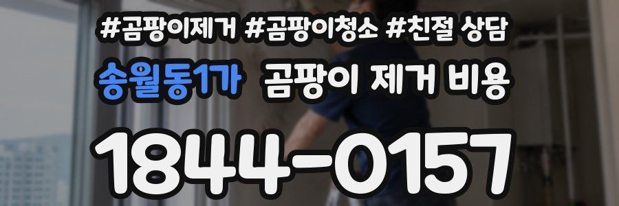 송월동1가 곰팡이 제거 비용
