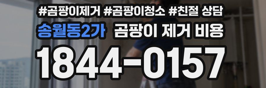 송월동2가 곰팡이 제거 비용