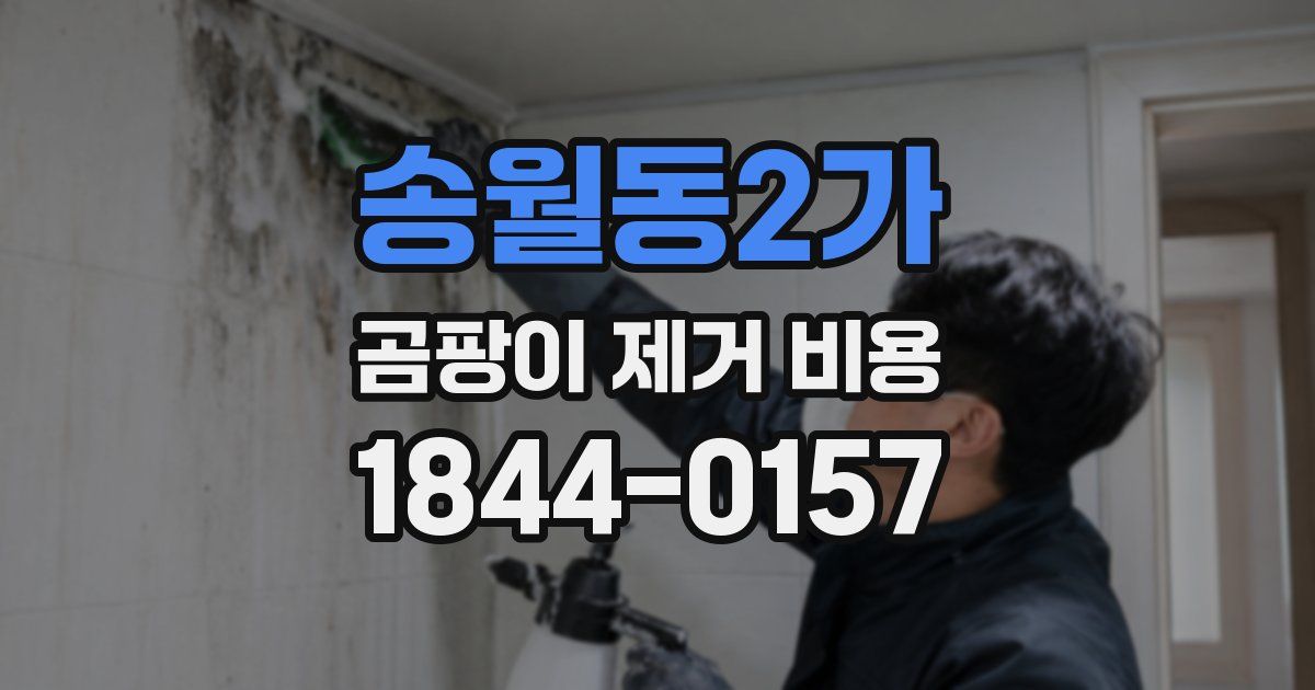 송월동2가 곰팡이 제거 비용