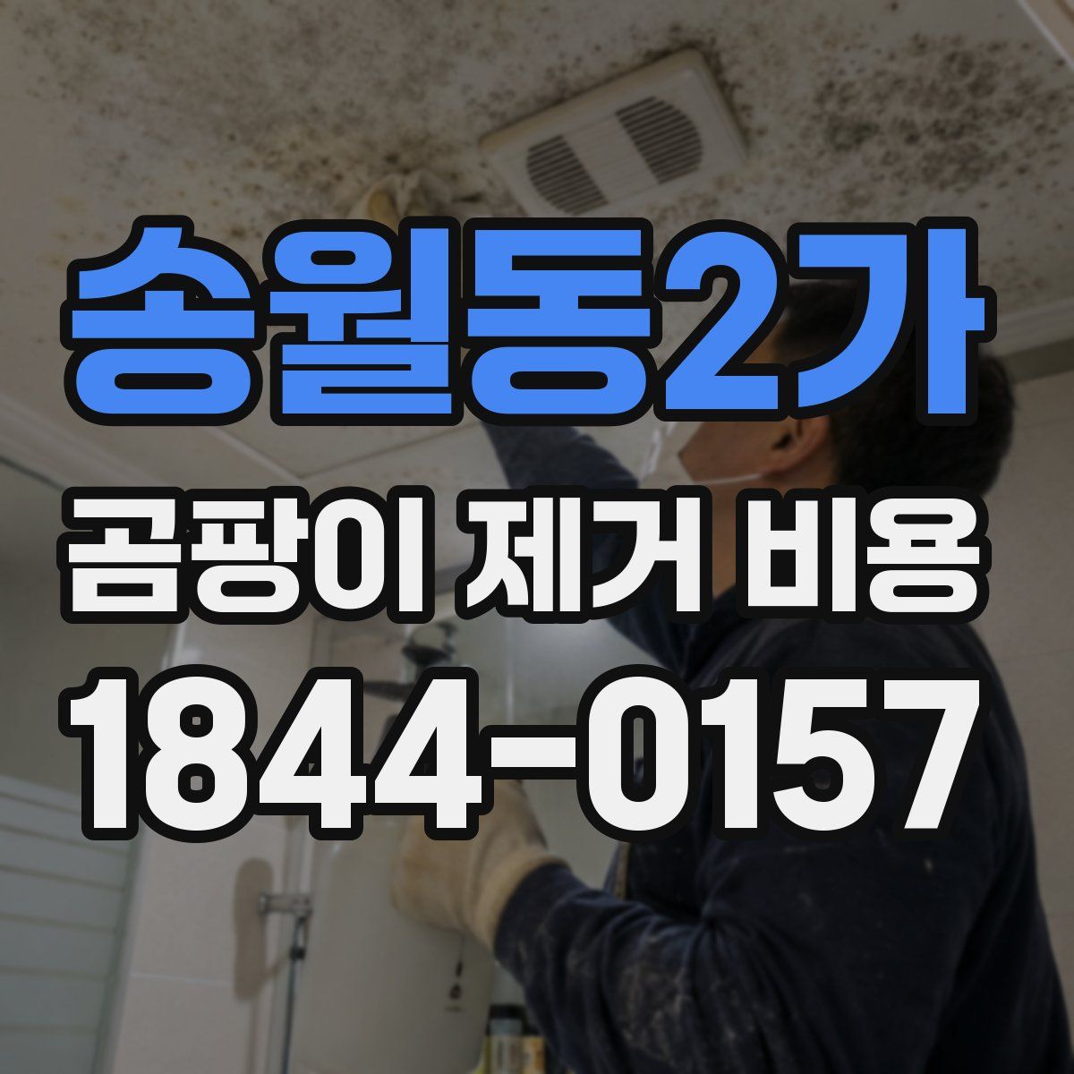 송월동2가 곰팡이 제거 비용
