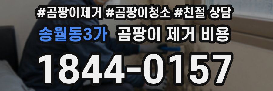 송월동3가 곰팡이 제거 비용