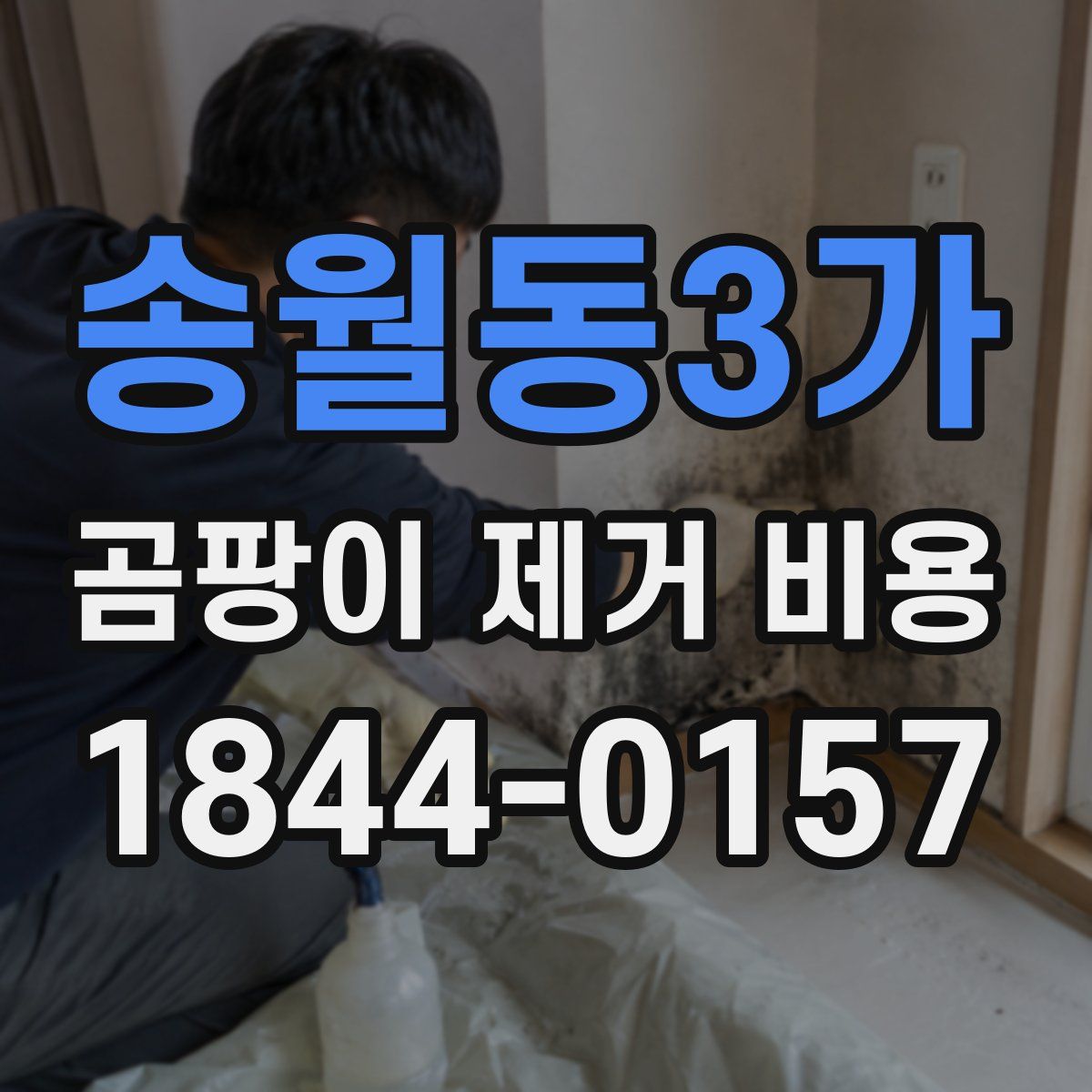 송월동3가 곰팡이 제거 비용