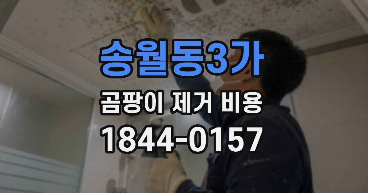 송월동3가 곰팡이 제거 비용