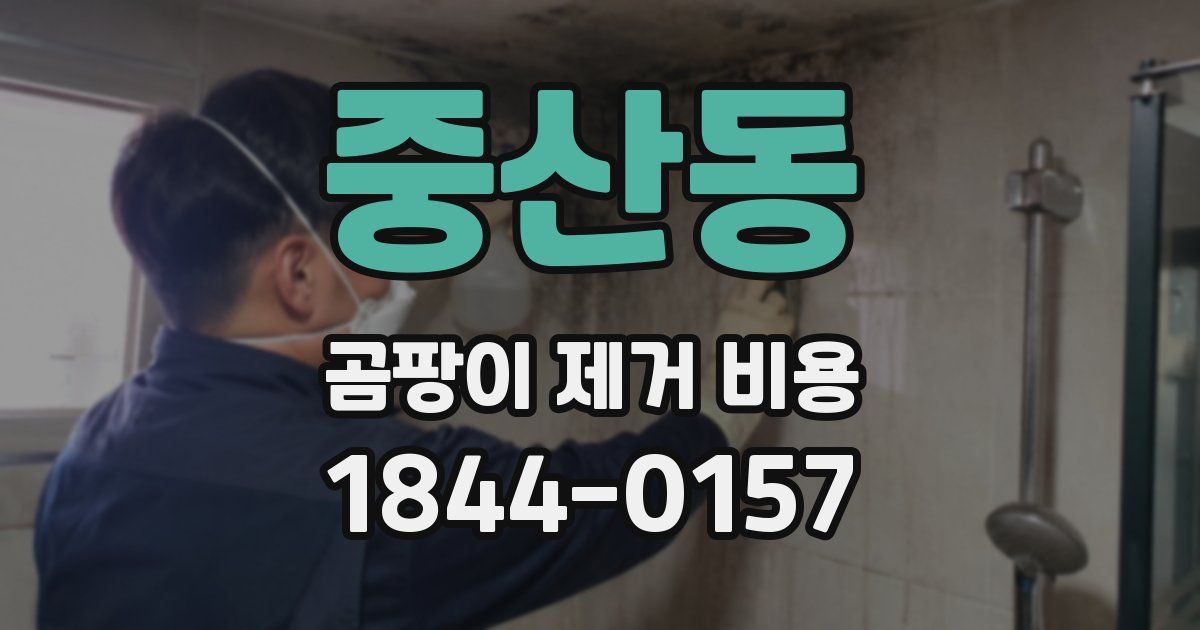 중산동 곰팡이 제거 비용