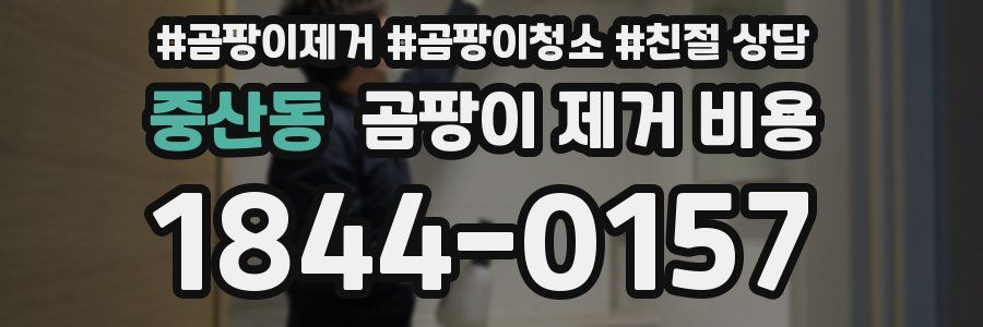 중산동 곰팡이 제거 비용