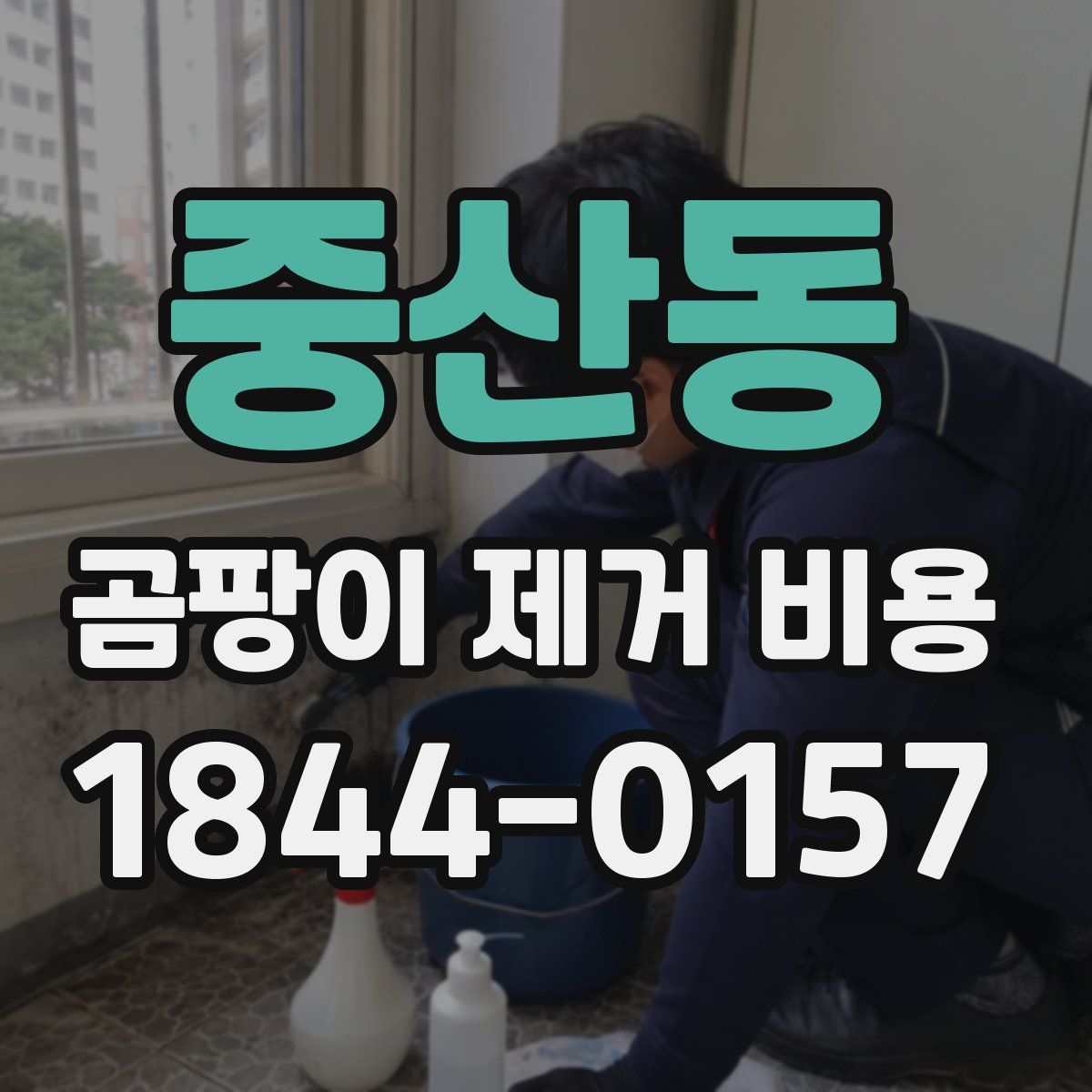 중산동 곰팡이 제거 비용