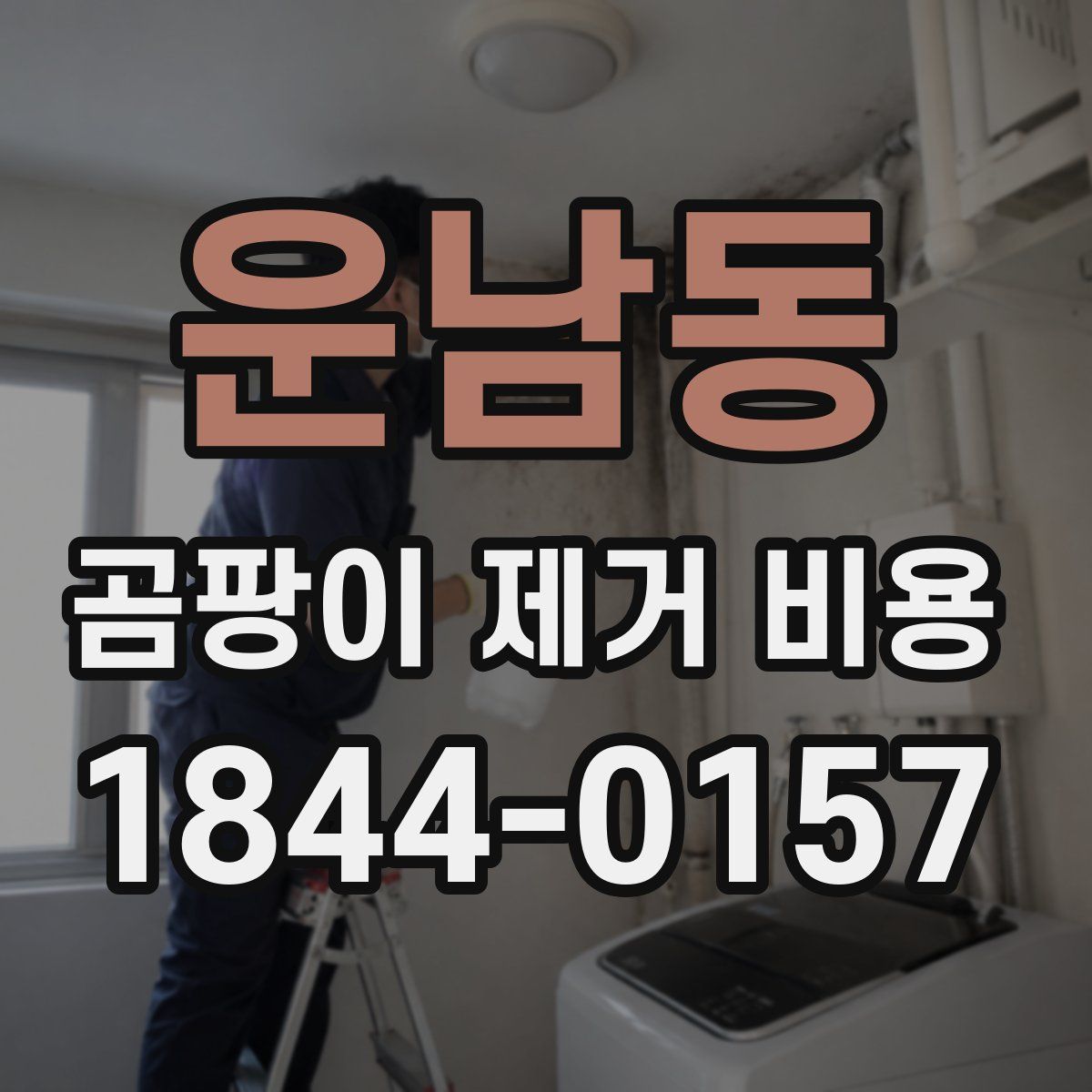 운남동 곰팡이 제거 비용