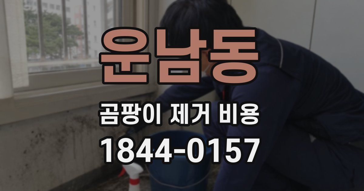 운남동 곰팡이 제거 비용