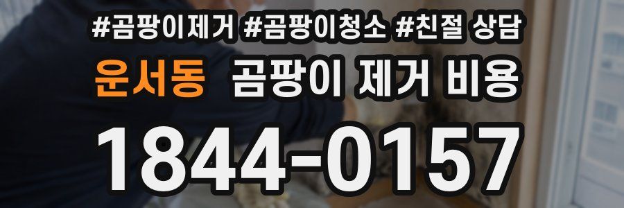 운서동 곰팡이 제거 비용