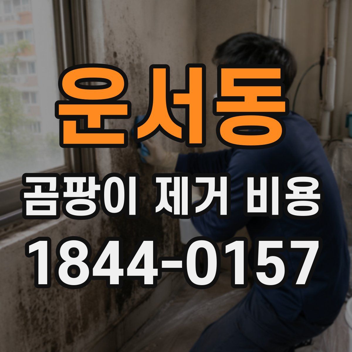 운서동 곰팡이 제거 비용
