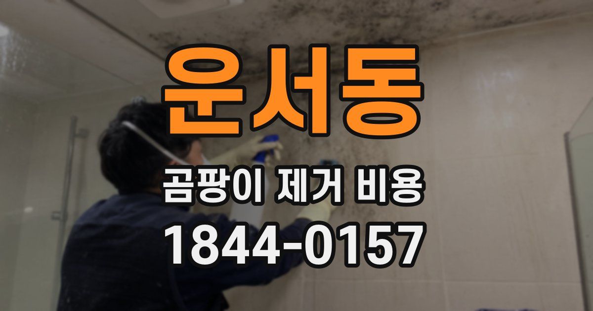 운서동 곰팡이 제거 비용