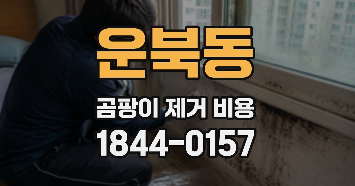 운북동 곰팡이 제거 비용