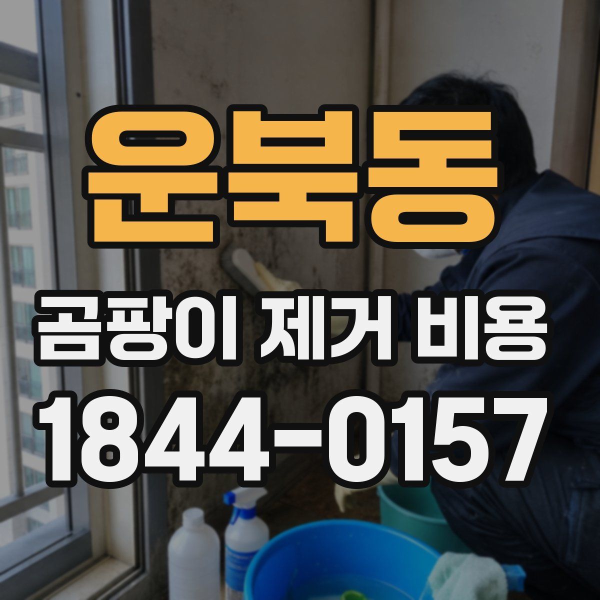 운북동 곰팡이 제거 비용