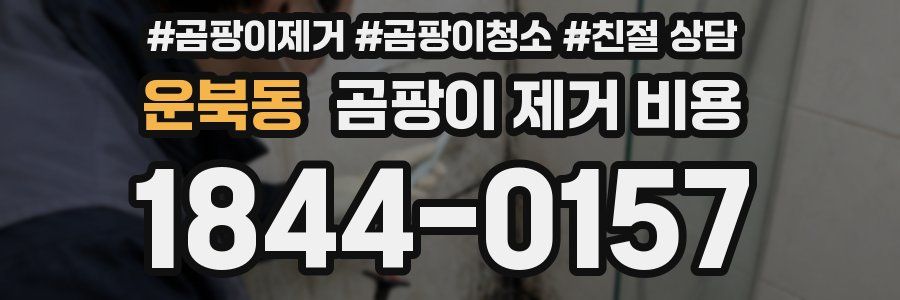 운북동 곰팡이 제거 비용