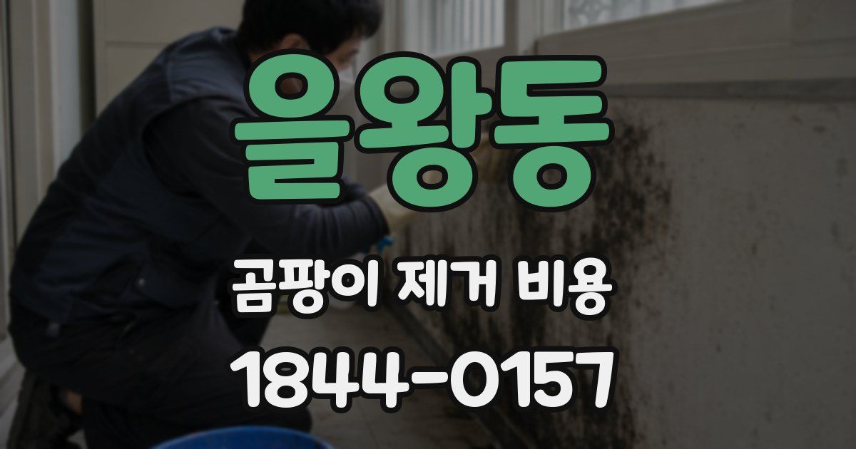 을왕동 곰팡이 제거 비용