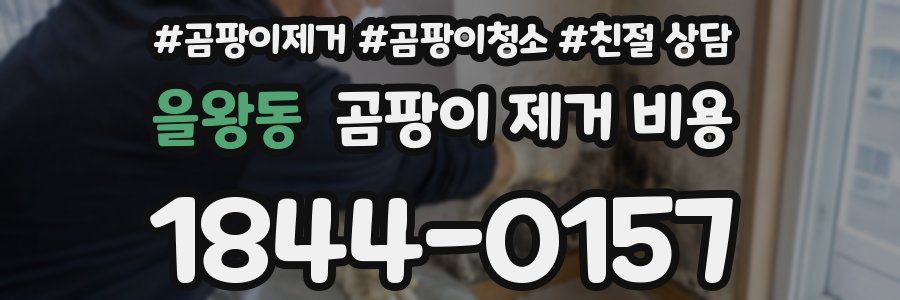 을왕동 곰팡이 제거 비용