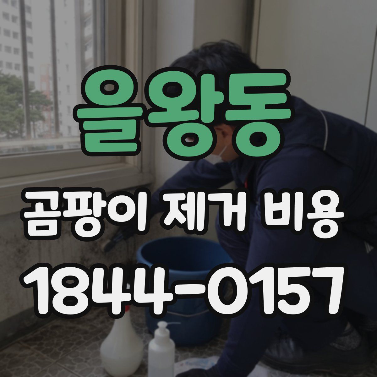 을왕동 곰팡이 제거 비용