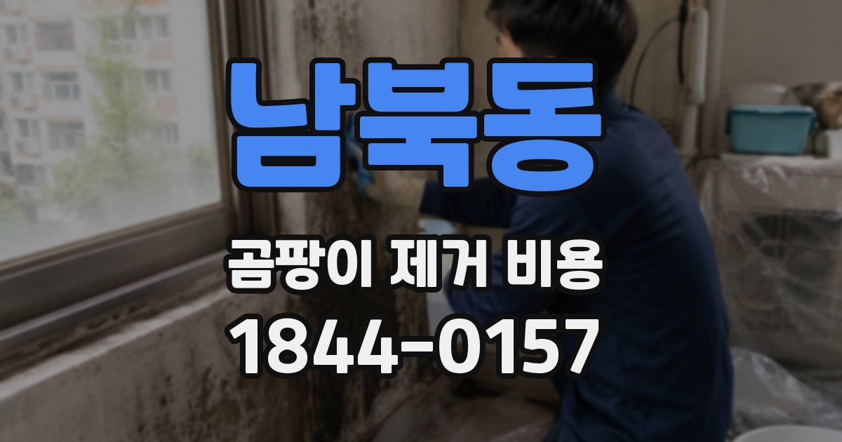 남북동 곰팡이 제거 비용