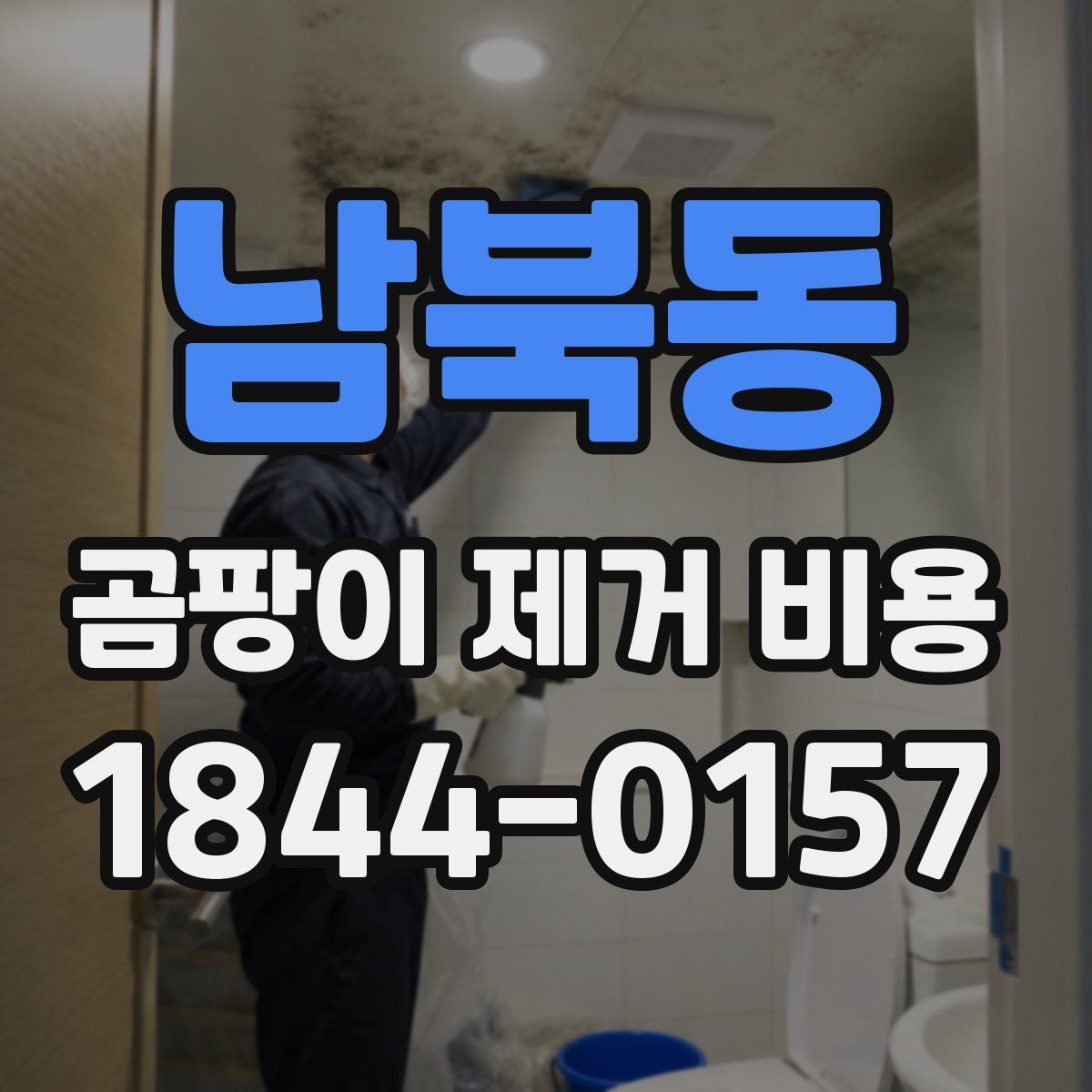 남북동 곰팡이 제거 비용