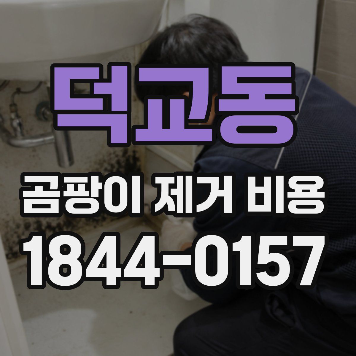 덕교동 곰팡이 제거 비용