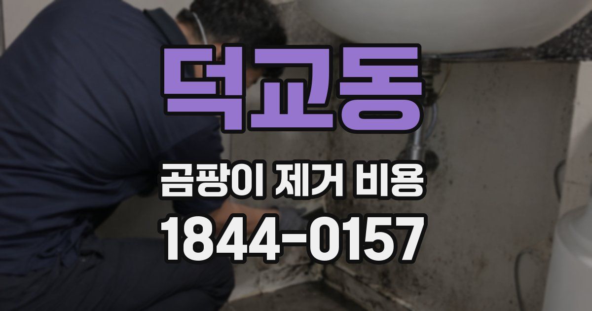 덕교동 곰팡이 제거 비용