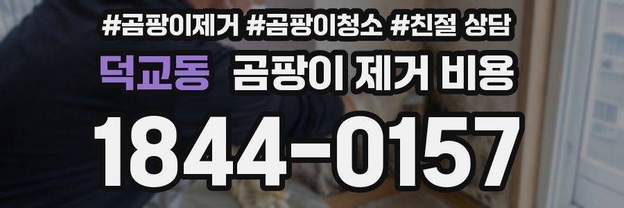 덕교동 곰팡이 제거 비용