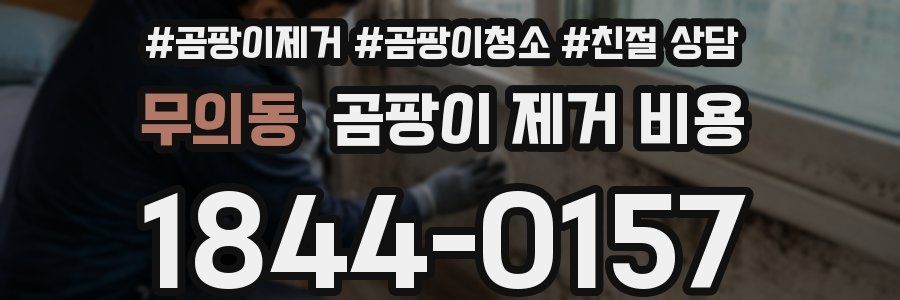 무의동 곰팡이 제거 비용