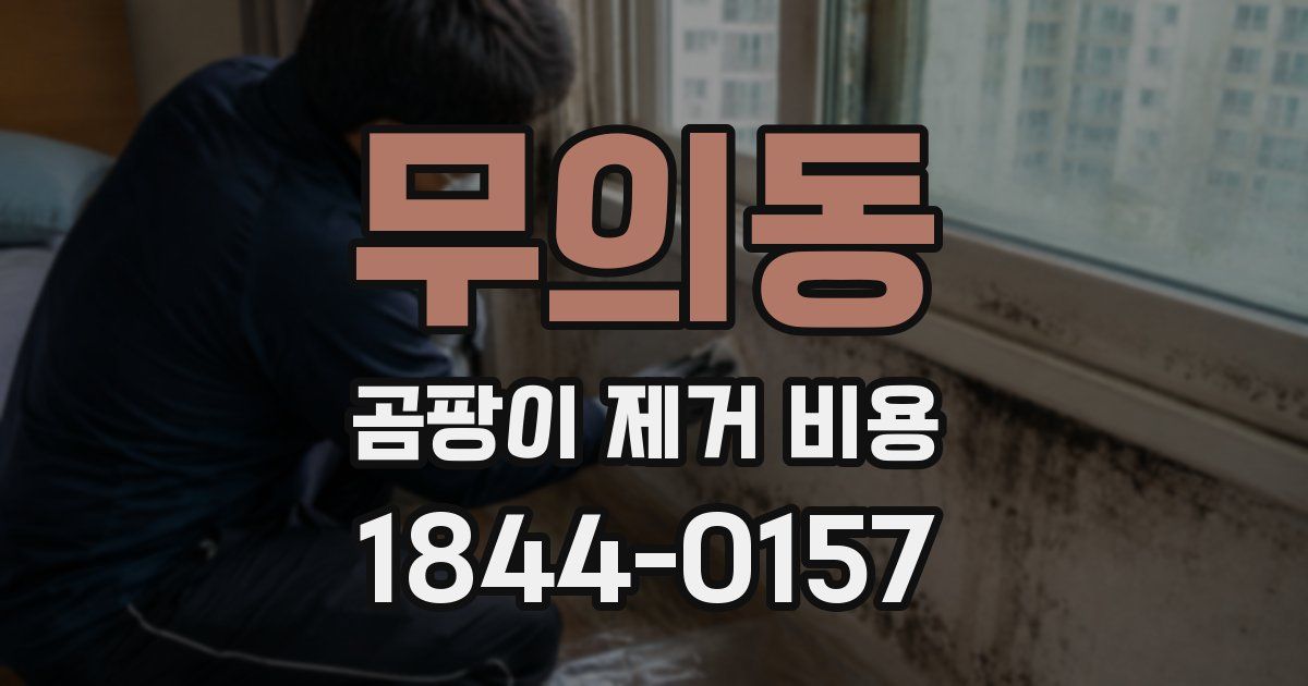무의동 곰팡이 제거 비용