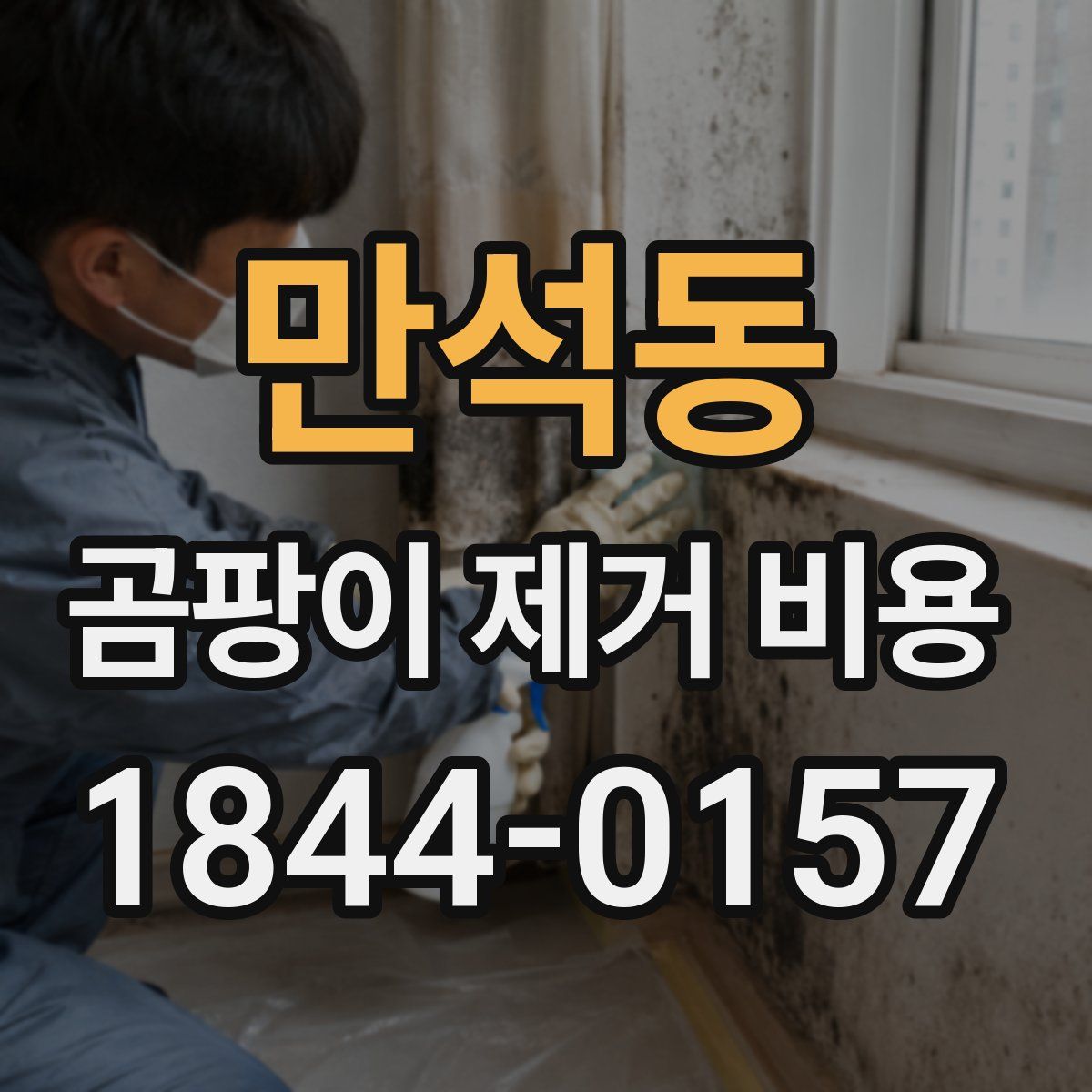 만석동 곰팡이 제거 비용