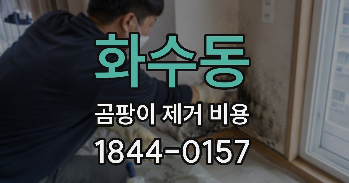 화수동 곰팡이 제거 비용