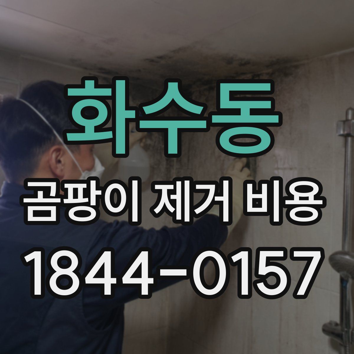 화수동 곰팡이 제거 비용