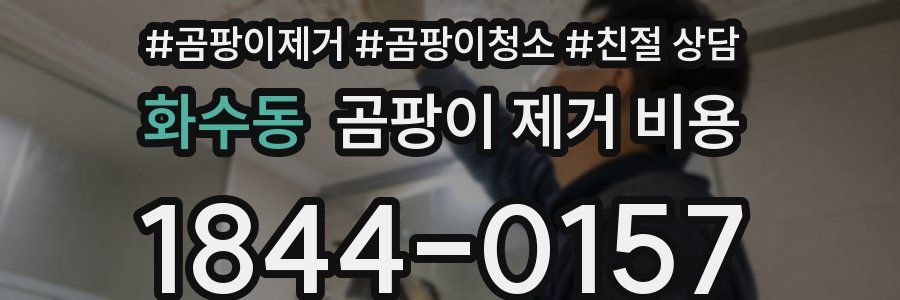 화수동 곰팡이 제거 비용