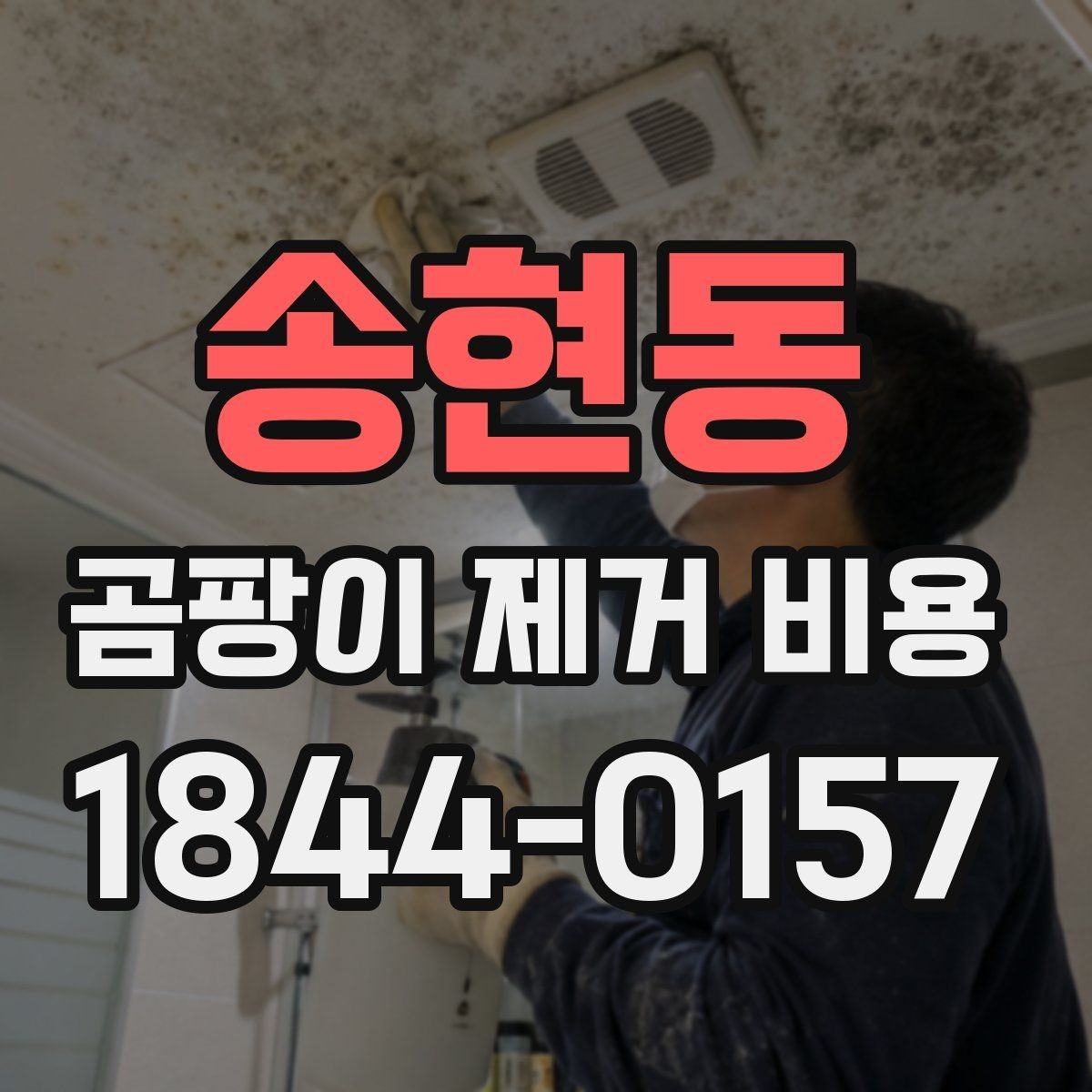 송현동 곰팡이 제거 비용 실측이 필요한 상황은 언제일까