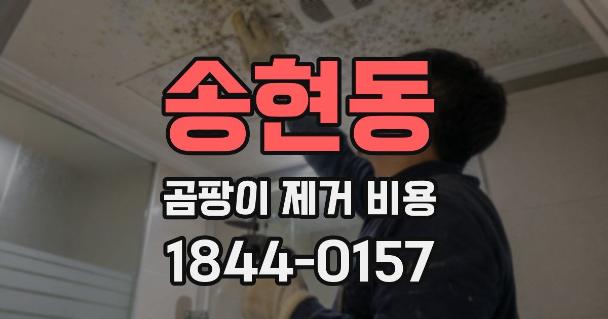 송현동 곰팡이 제거 비용