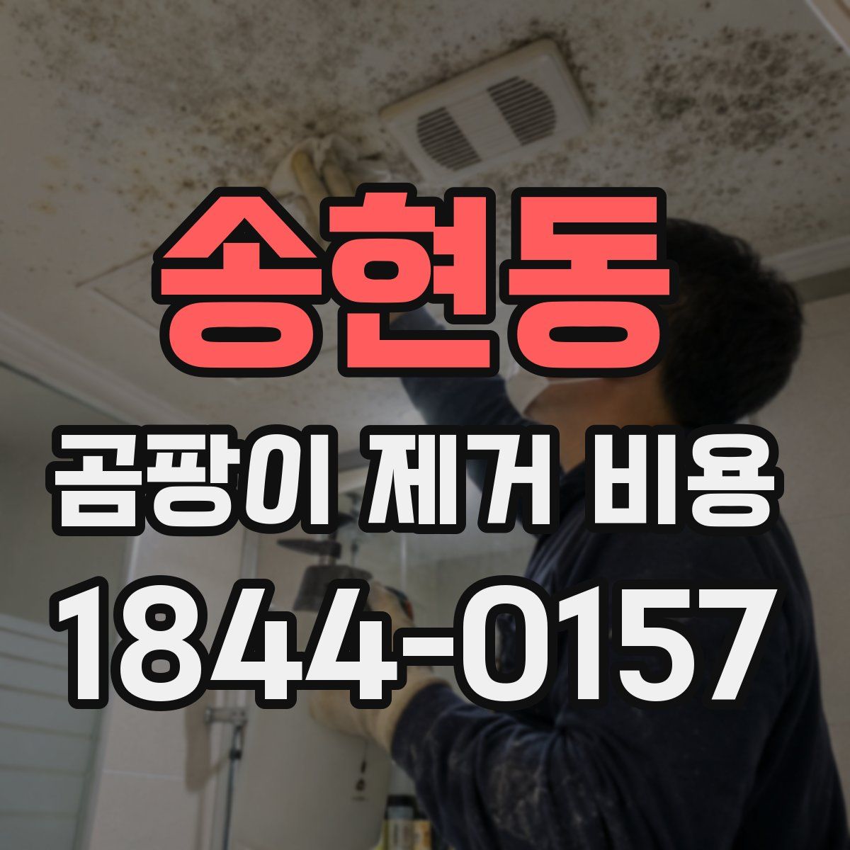 송현동 곰팡이 제거 비용