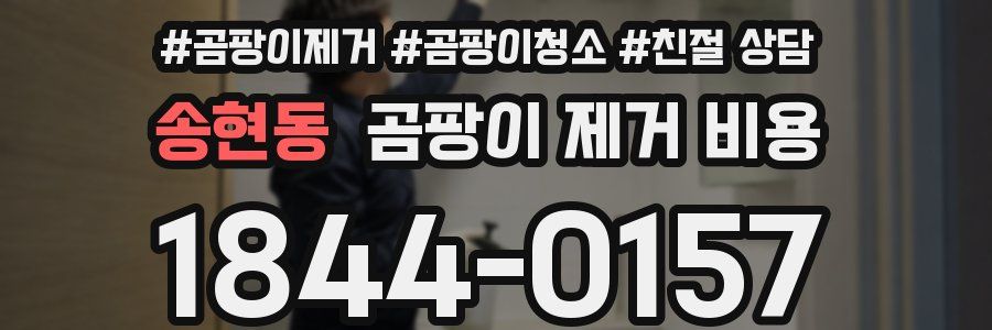 송현동 곰팡이 제거 비용