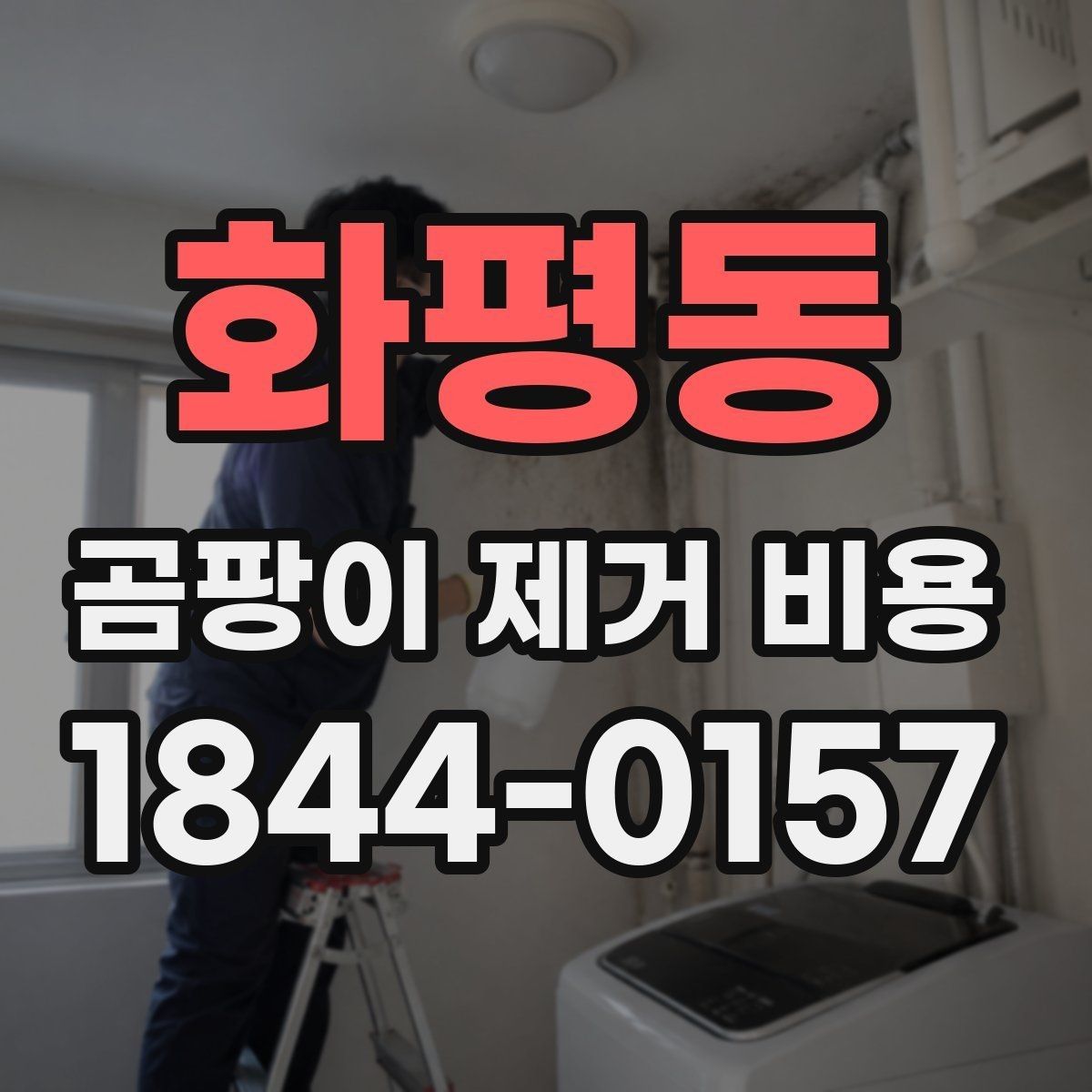 화평동 곰팡이 제거 비용 계산할 때 필요한 정보
