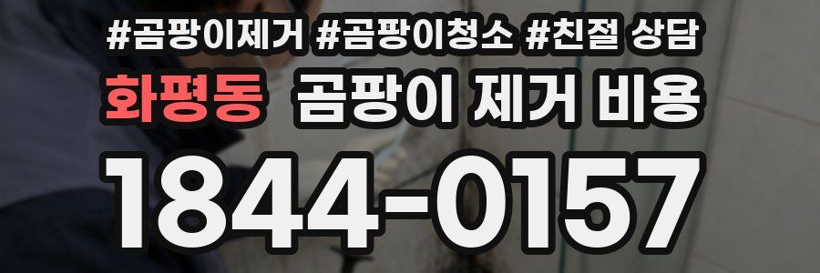화평동 곰팡이 제거 비용