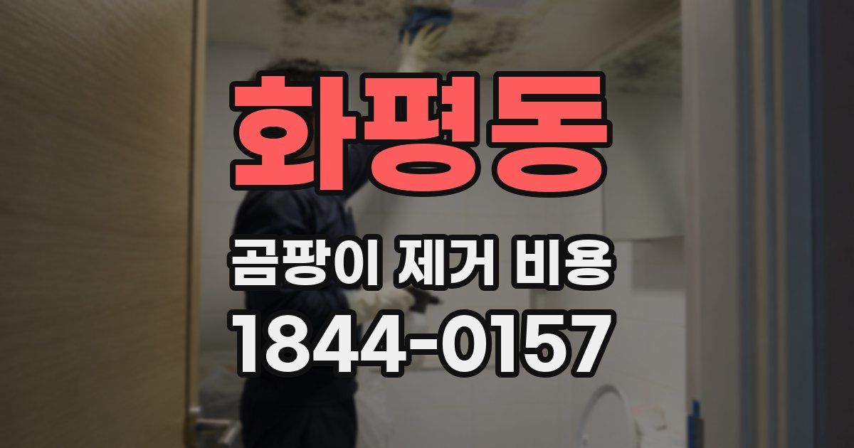 화평동 곰팡이 제거 비용