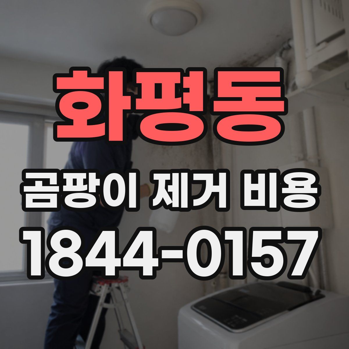 화평동 곰팡이 제거 비용