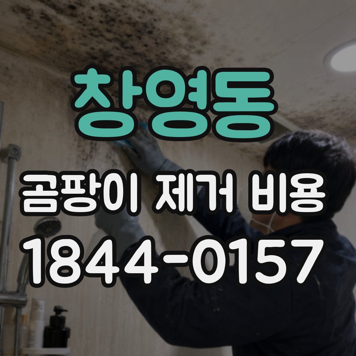 창영동 곰팡이 제거 비용