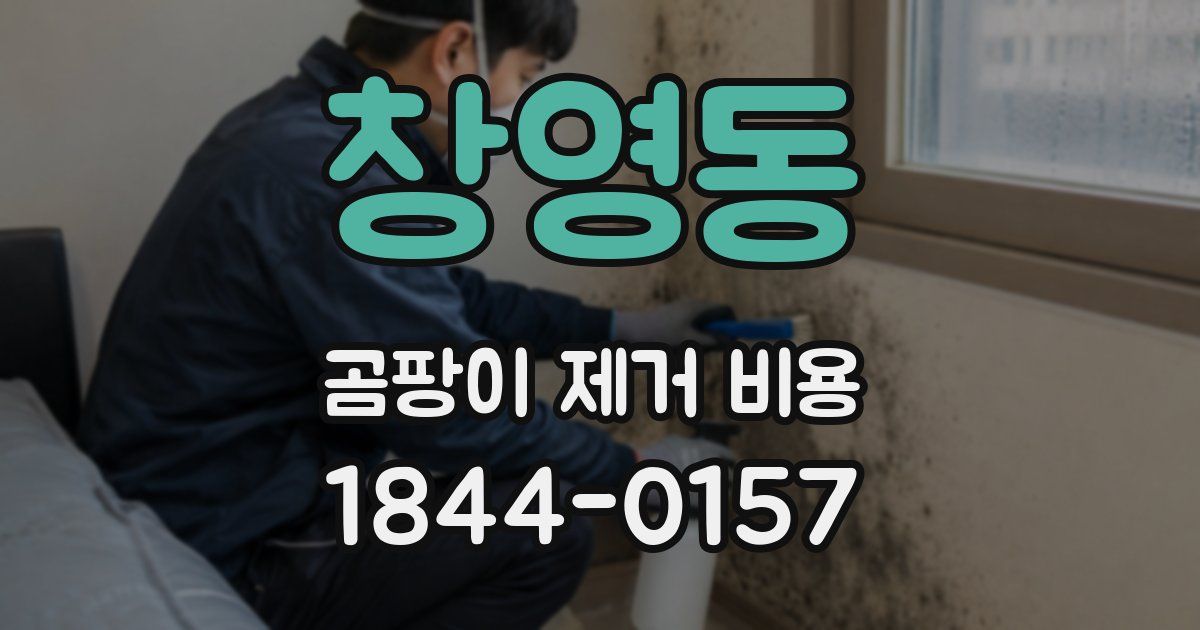 창영동 곰팡이 제거 비용