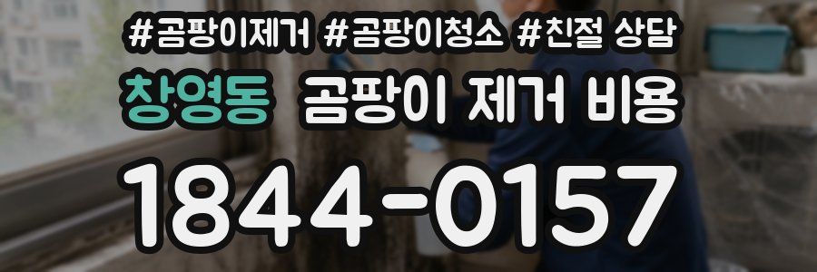 창영동 곰팡이 제거 비용