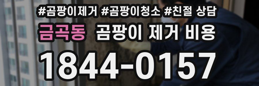 금곡동 곰팡이 제거 비용