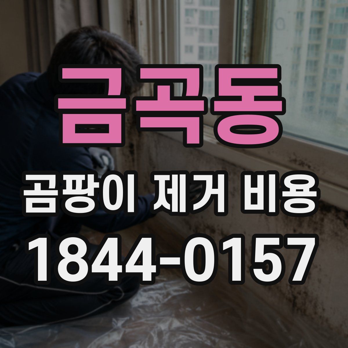 금곡동 곰팡이 제거 비용