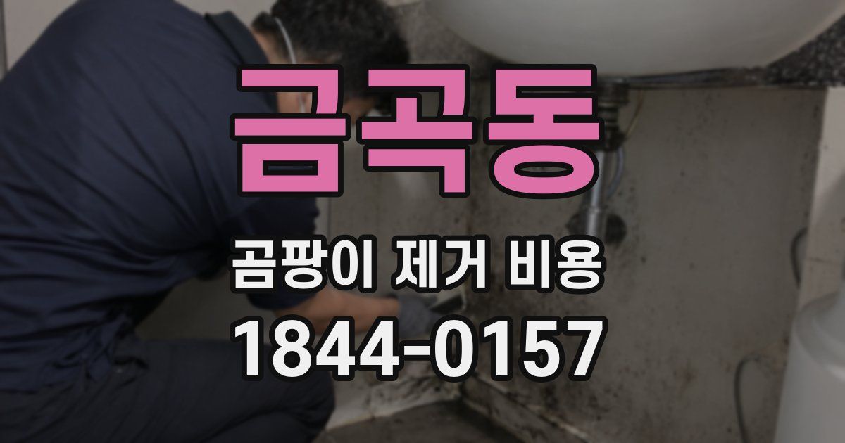 금곡동 곰팡이 제거 비용