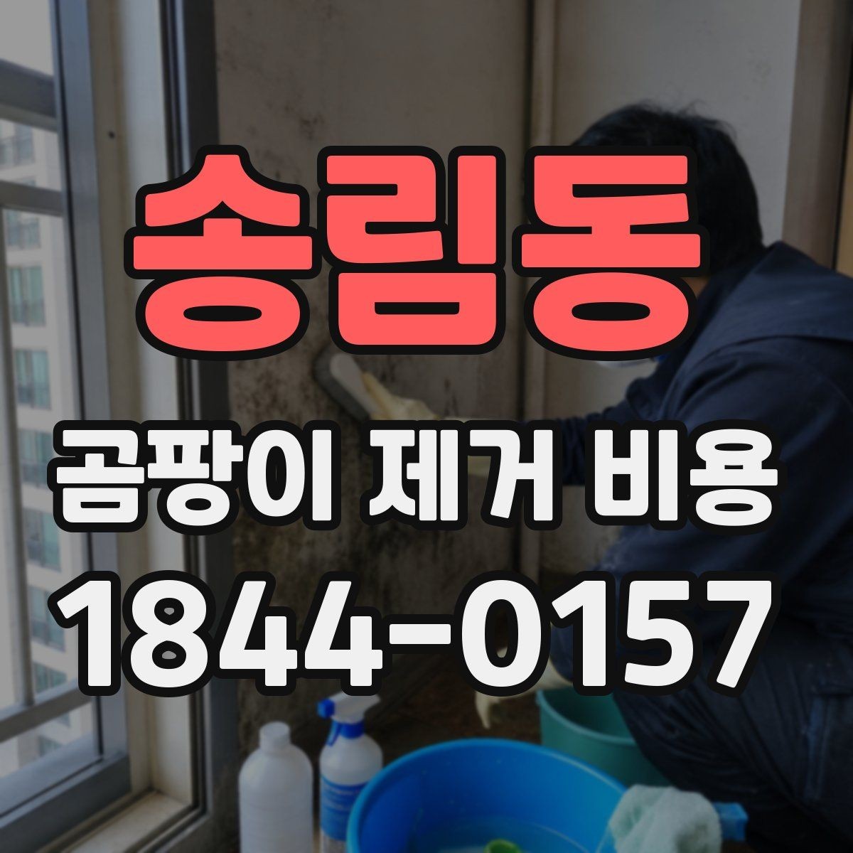 송림동 곰팡이 제거 비용 계산 전 실내 상태 진단하기