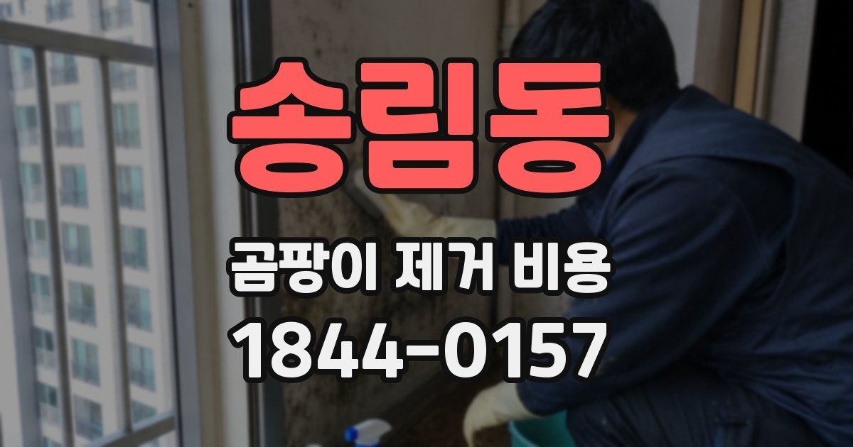 송림동 곰팡이 제거 비용